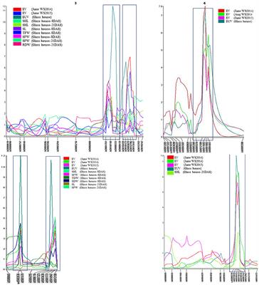 QTL Hotspots for Early Vigor and Related Traits under Dry Direct-Seeded System in Rice (Oryza sativa L.)